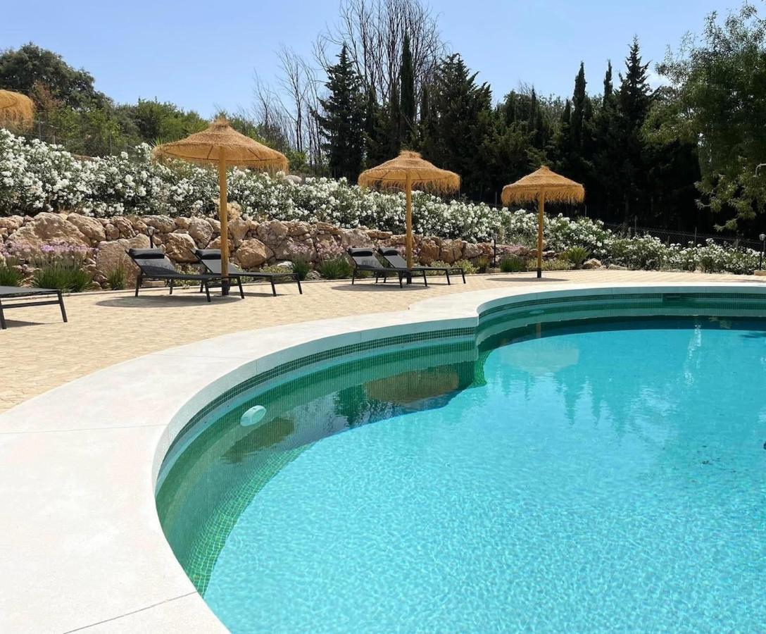 Cortijo Rancho Verde 科尔梅纳尔 外观 照片