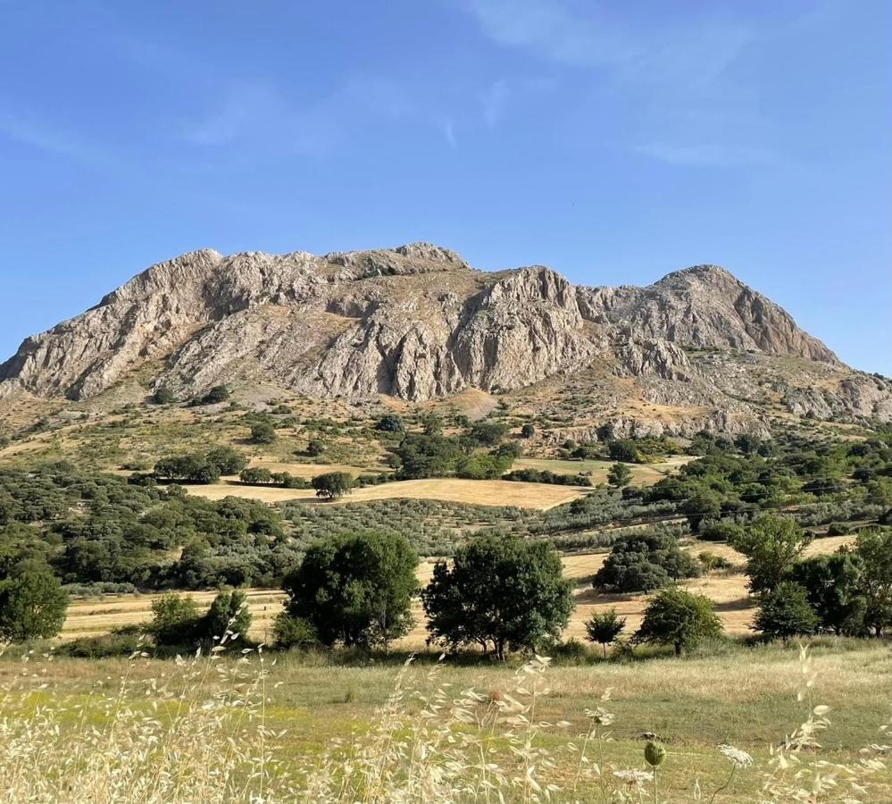 Cortijo Rancho Verde 科尔梅纳尔 外观 照片