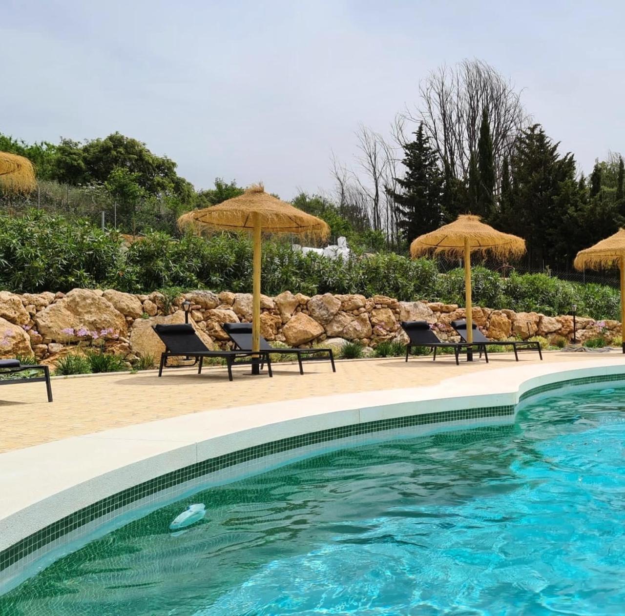 Cortijo Rancho Verde 科尔梅纳尔 外观 照片