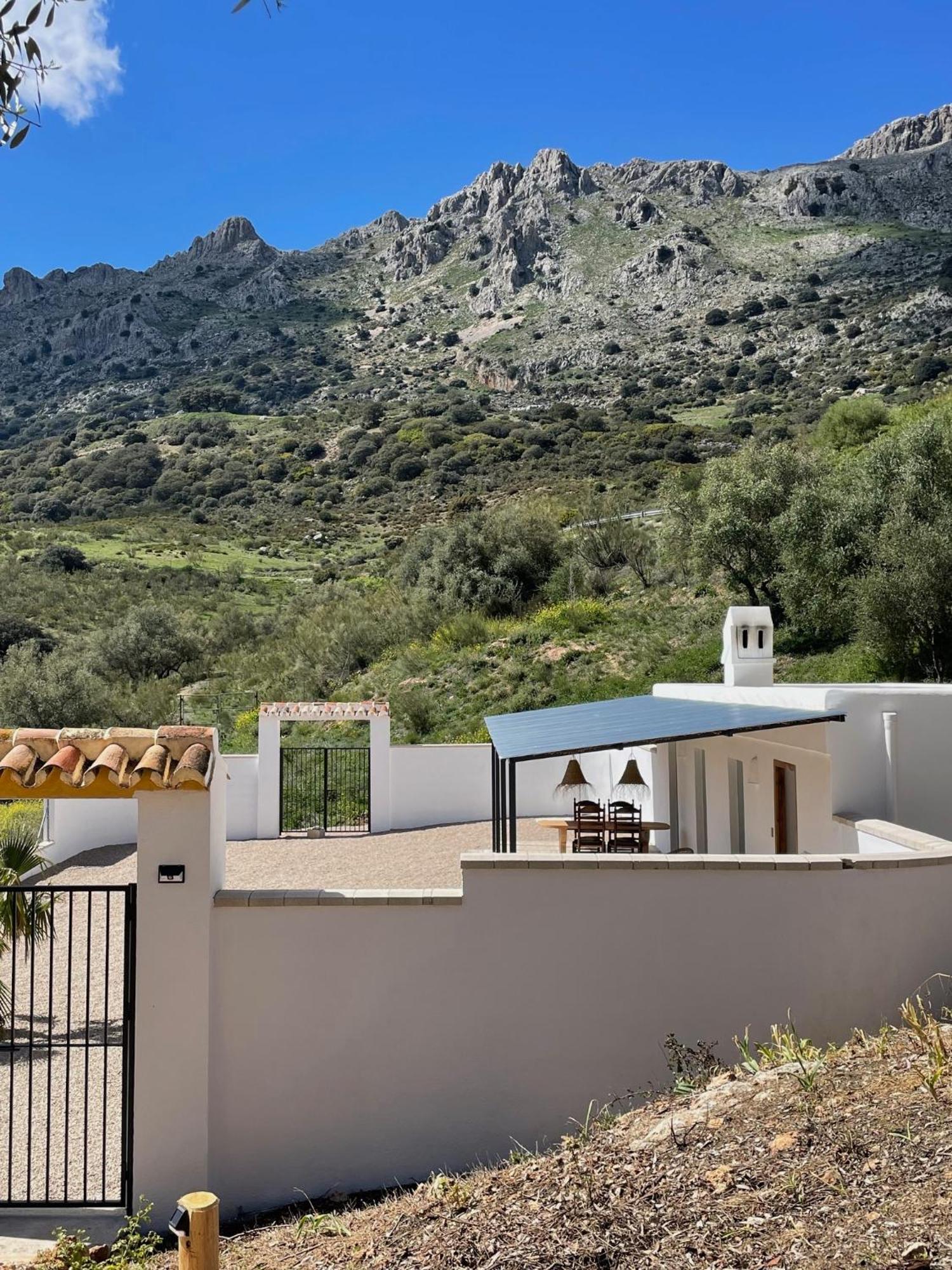 Cortijo Rancho Verde 科尔梅纳尔 外观 照片