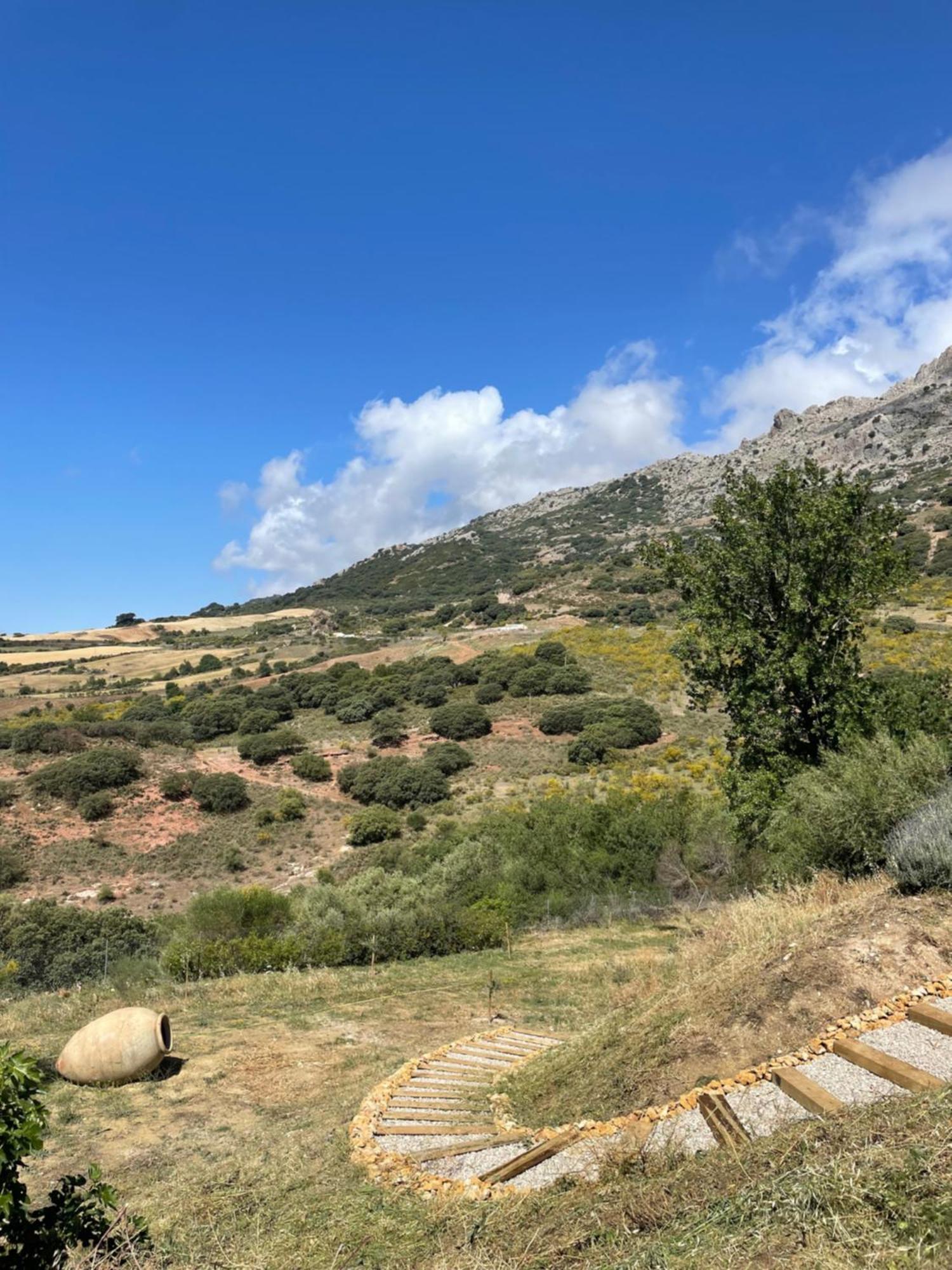 Cortijo Rancho Verde 科尔梅纳尔 外观 照片