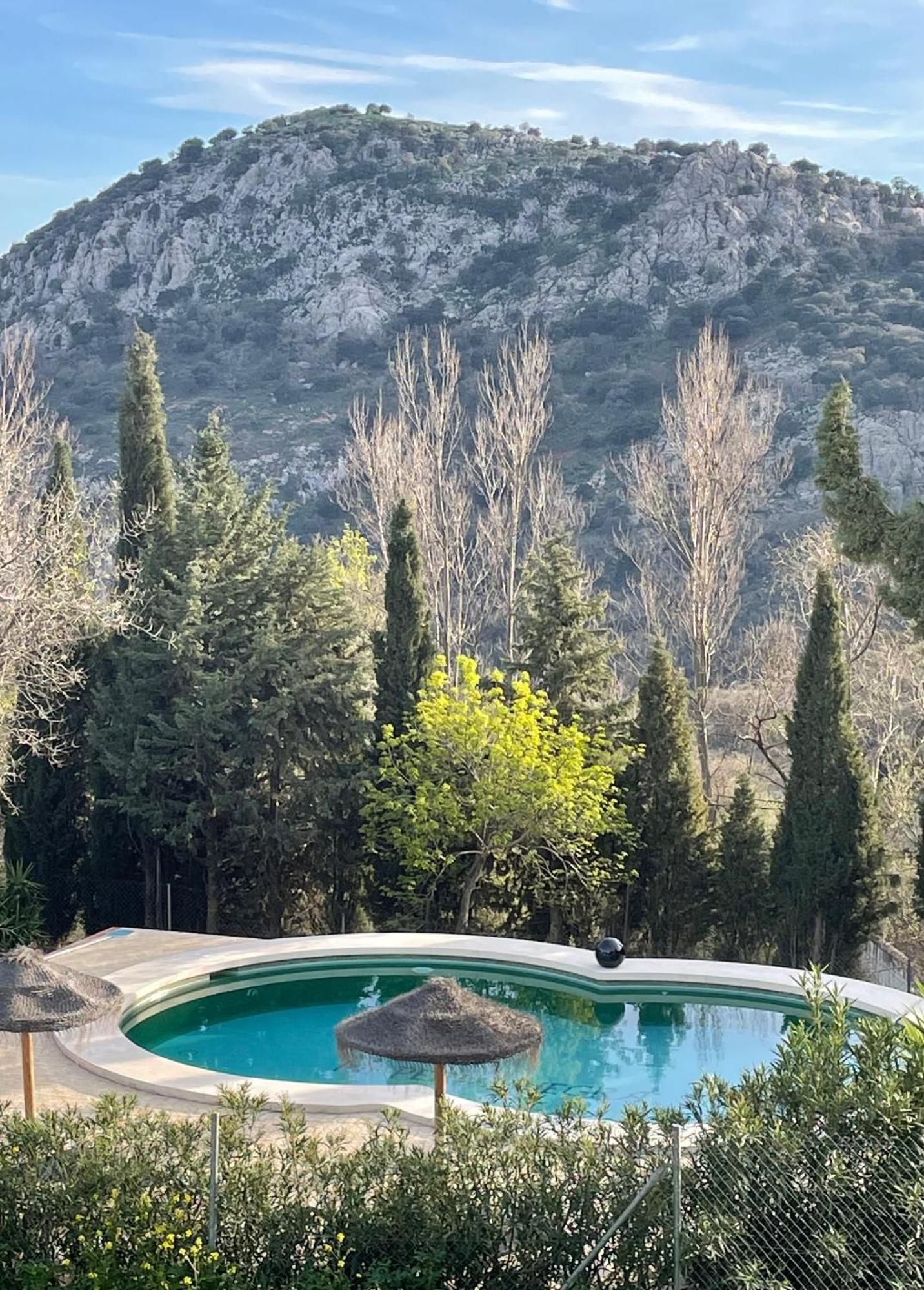 Cortijo Rancho Verde 科尔梅纳尔 外观 照片
